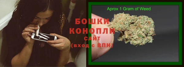 гидра Алексеевка