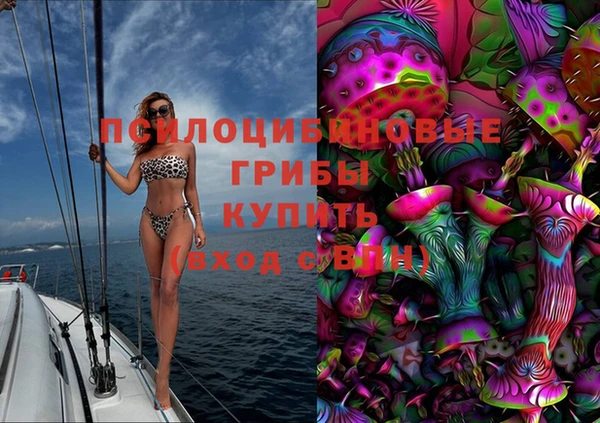гидра Алексеевка
