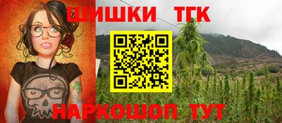 гашик Славгород