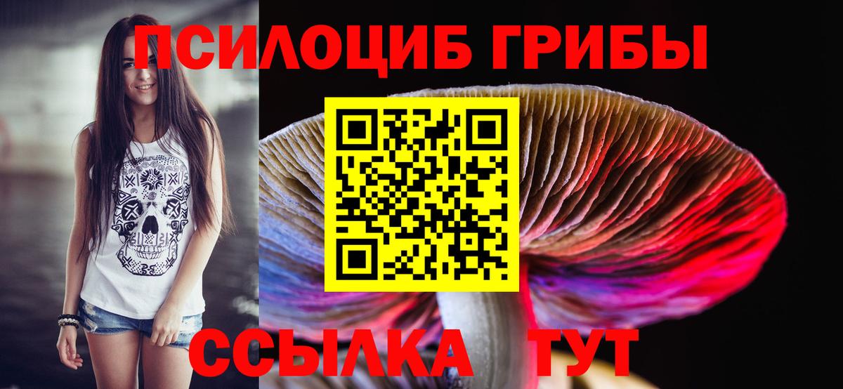 Псилоцибиновые грибы Psilocybe Кондопога