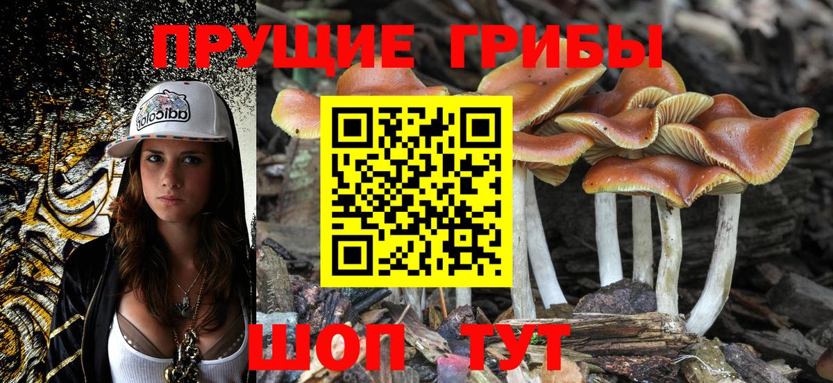 Галлюциногенные грибы Magic Shrooms  Псилоцибиновые грибы Psilocybine cubensis  Кондопога  Вход с VPN 